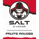 SALT Saveur Fruits Rouges