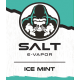 SAlt saveur ICE Mint