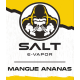 Salt saveur mangue ananas