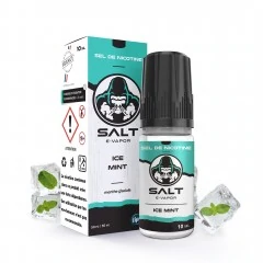 SAlt saveur ICE Mint