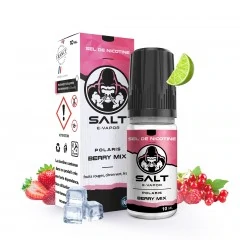 Polaris Berry Mix - sel de nicotine