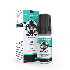 SAlt saveur ICE Mint