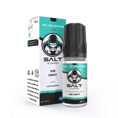 SAlt saveur ICE Mint