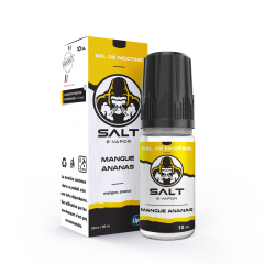 Salt saveur mangue ananas