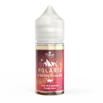 Arôme concentré Polaris Mission Passion