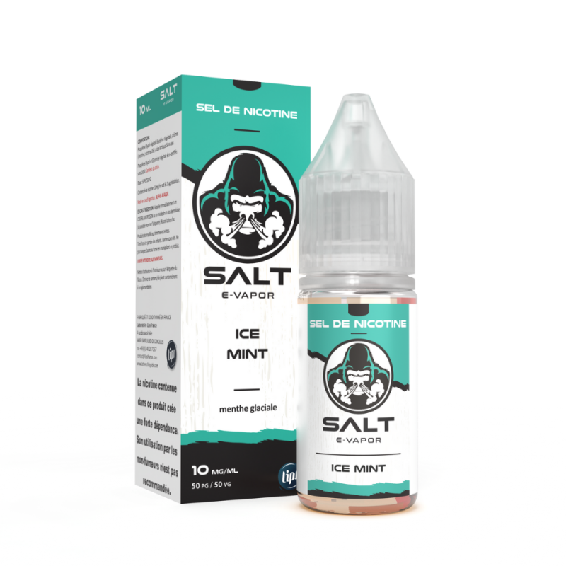 SAlt saveur ICE Mint