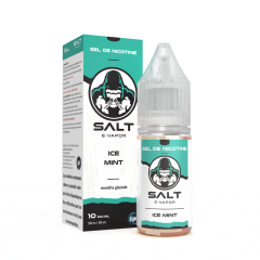 SAlt saveur ICE Mint