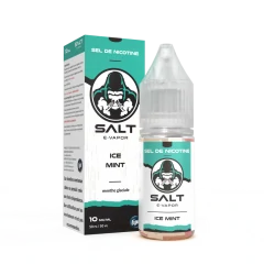 SAlt saveur ICE Mint