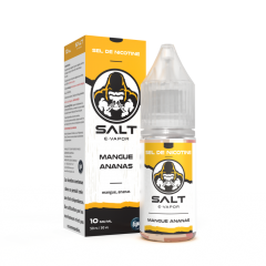 Salt saveur mangue ananas